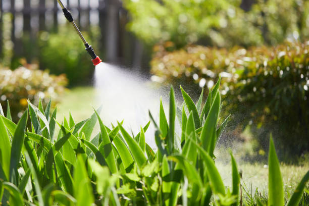 Tamper-Resistant Bait Stations for Rodents in Youngwood