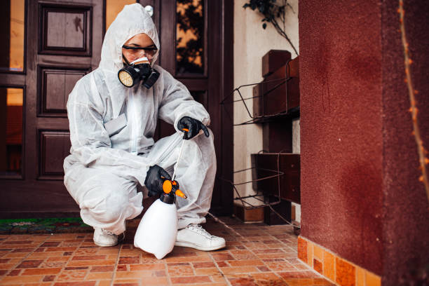Attic and Crawl Space Rodent Treatment in Youngwood